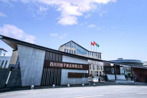 百位行業(yè)代表齊聚川娃子 共話食品智造新味來(lái)，明星工廠引領(lǐng)行業(yè)升級(jí)